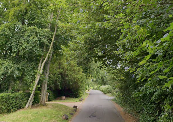 20 mph for Bodiam Road, Silverhill
